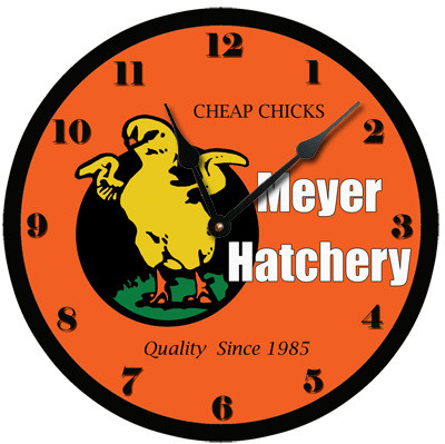 Custom Logo Clock